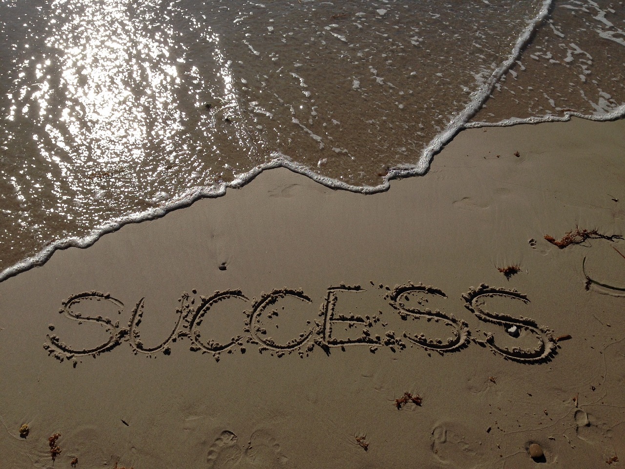 How to Leverage Trend Analysis for Trading Success
